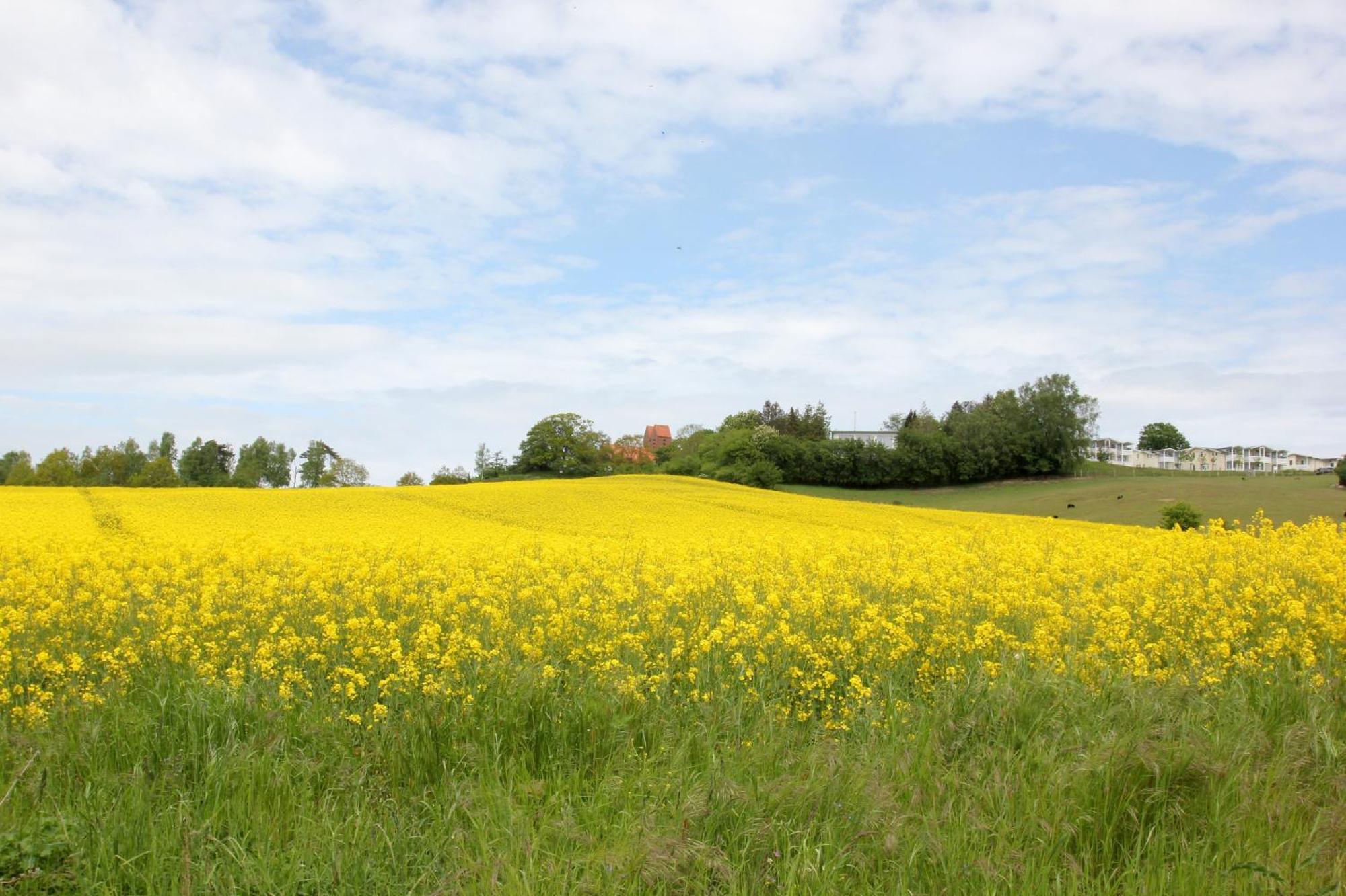 Mit Meerblick Und Balkon, Gratis Nutzung Vom Ahoi Erlebnisbad Und Sauna In Sellin - Meeresblick Fewo 33 Goehren  Esterno foto
